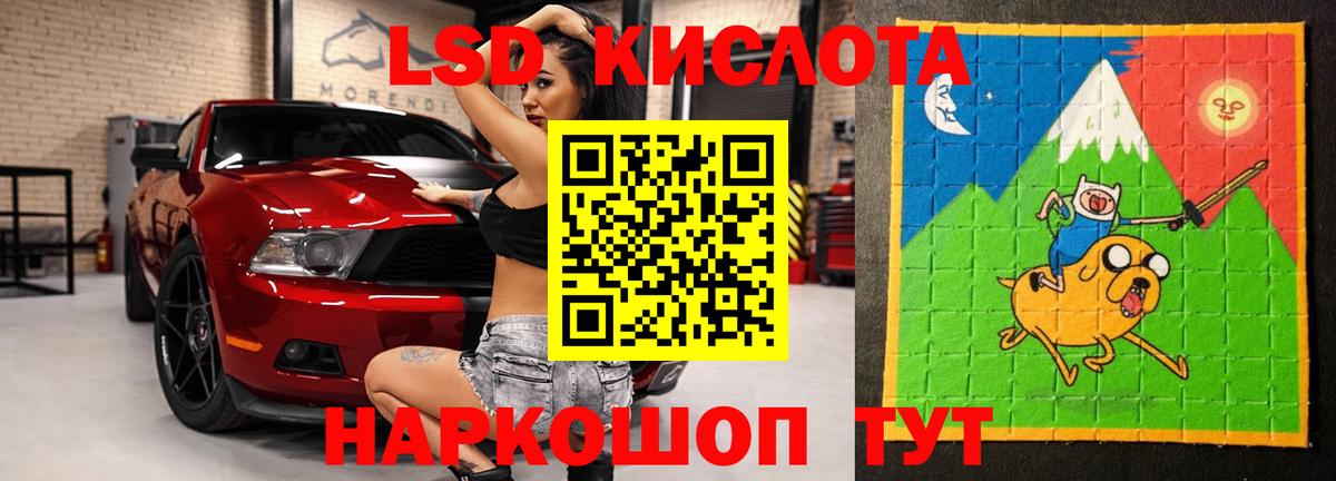 Псилоцибиновые грибы Конаково