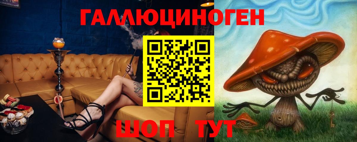 Галлюциногенные грибы мицелий  Вход с VPN  Конаково  Галлюциногенные грибы Psilocybine cubensis 