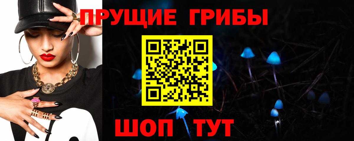 Псилоцибиновые грибы мицелий Конаково